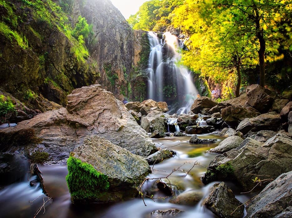 Private Yalova Full day tour
